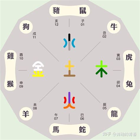 地支屬性|十二地支五行属性